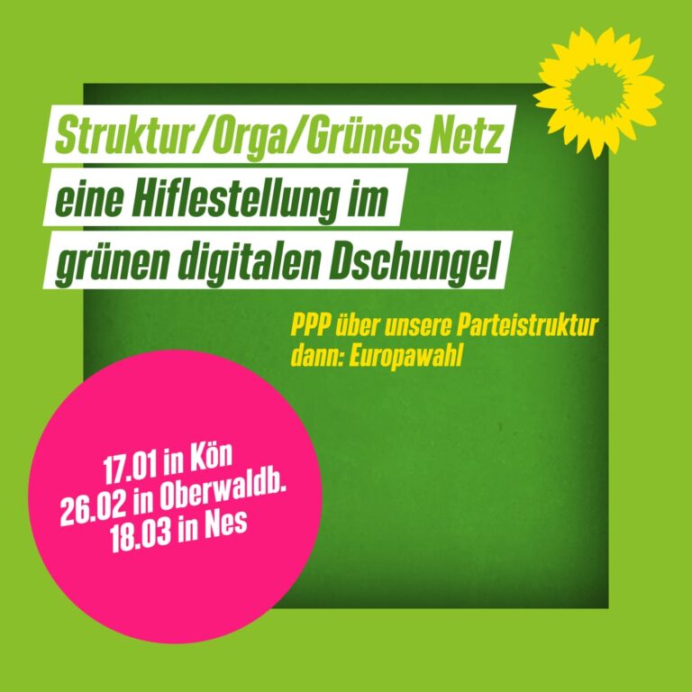 Grünes Netz…wie finde ich mich zurecht? In NES