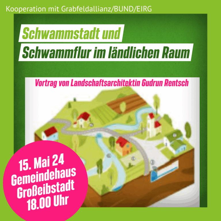 Vortrag: Schwammstadt